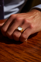 Nacre + Gold-plated