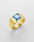 Aquamarine Ring | Gold