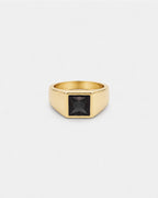 Onyx Ring | Gold
