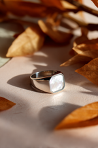 Nacre + Silver-plated