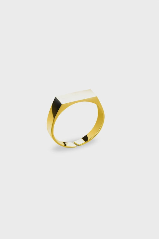 Ring Premium 14k Gold Stainless Steel