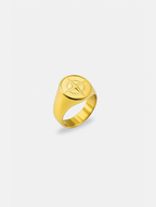 Ring Premium 14k Gold Stainless Steel