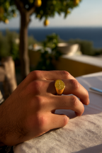 Ring Premium 14k Gold Stainless Steel